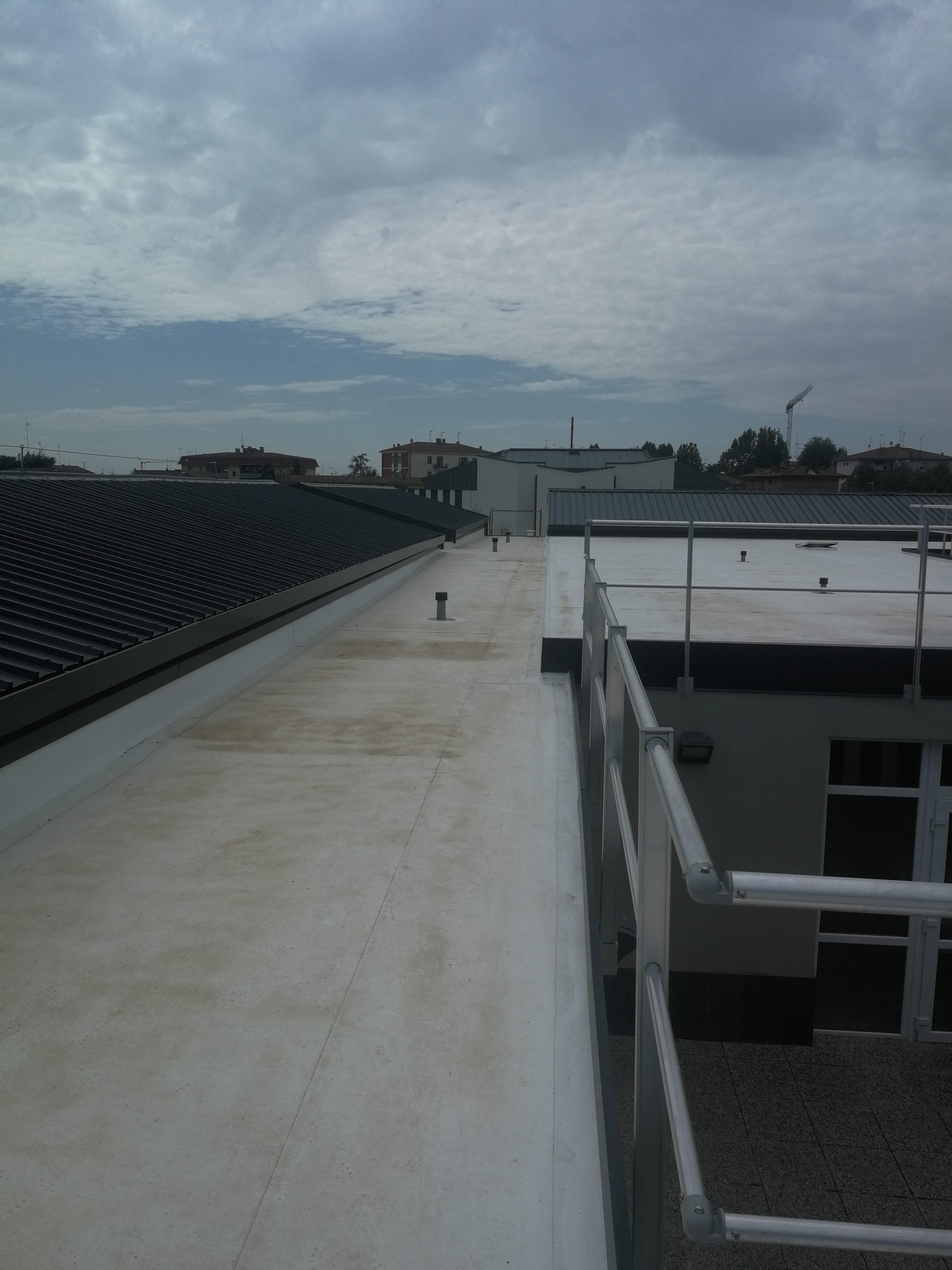 Interventi Scuola Primaria Poggio Renatico 113