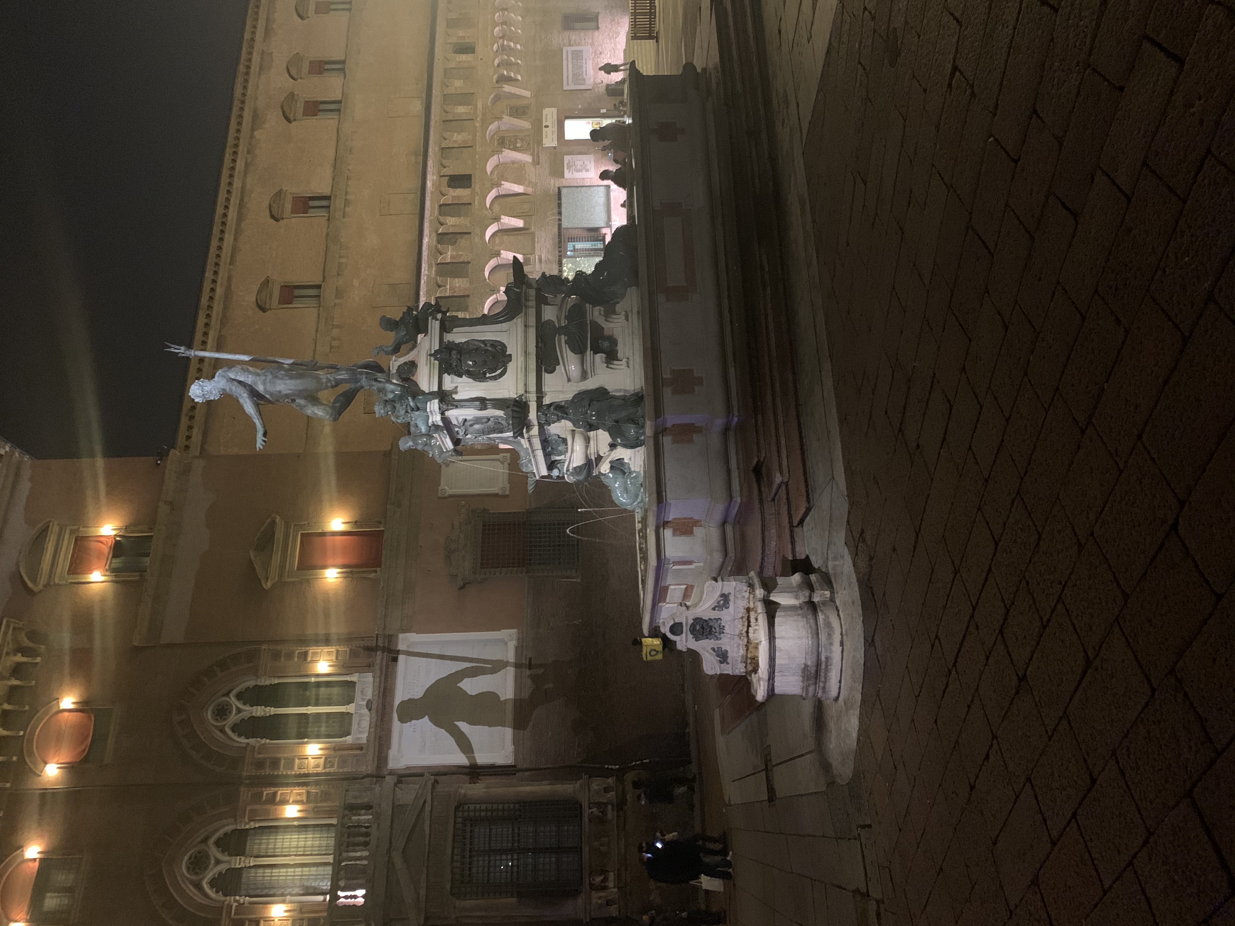 Riqualificazione dell'illuminazione del Nettuno 6